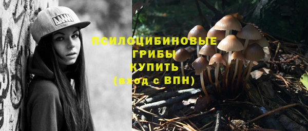 2c-b Алзамай