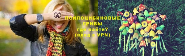 2c-b Алзамай