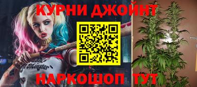 молекула духа Новокубанск