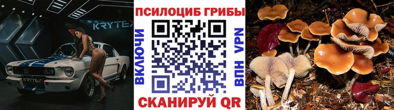 наркошоп  Дюртюли  Псилоцибиновые грибы GOLDEN TEACHER 